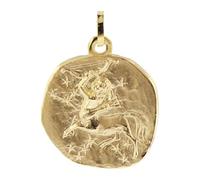 trendor Ciondolo Sagittario, segno zodiacale, argento sterling placcato oro | Un bellissimo gioiello per donne e uomini, un'elegante idea regalo ⌀ 20 mm, 21300-12