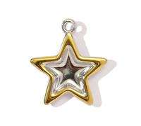 Trendy Double Color Heart Star Butterfly Ape Charm Ciondolo in acciaio inox 11 Opzioni Eleganti Brims Liscio Stella Cuore Luna Ape Ciondolo Collezione, Taglia unica, come descritto, come descritto