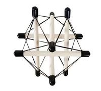 Treni anatomici Integrazione strutturale Tensegrità Modello di tensione pelvica Struttura Riabilitazione Tensione fasciale Sussidi didattici