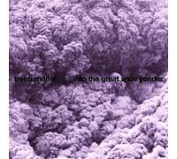 Trentemøller Into the Great Wide Yonder (Vinyl LP) 12" Album