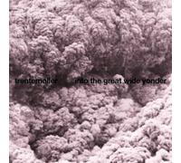 Trentemoller - Into The Great Wide Yonder