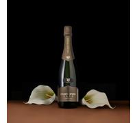 TrentoDOC 1673 Millesimato Brut Cesarini Sforza, Chardonnay e Pinot Nero, Metodo Classico, 12,5% vol 0,75L