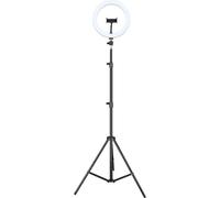 Treppiede IGG317235 Nero 200 cm 3 Gambe Vite 1/4" Ferro Pianale Treppiede IGG317235 Nero 200 cm 3 Gambe Vite 1/4" Ferro Pianale