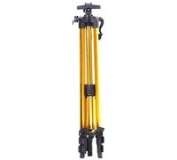 Treppiede regolabile for pittura, supporto for cavalletto, lega di alluminio, for su tela, display, materiale artistico for la per Arte(Gold)