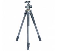 Treppiede Vanguard Alta Pro 2 263AB 100 + testa a sfera