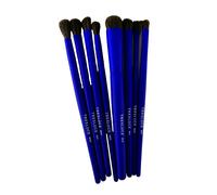 Tresluce Bellezza Ombra Colori Come Un Artista 8-Piece Occhio Set Pennelli Blu