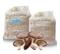 Tresorì - 2 Panetti Funghi Cardoncelli, Pleurotus Eryngii, Balletta di Funghi con Micelio di Prima Scelta, Fungo della Murgia, Set Coltivazione - MADE IN ITALY