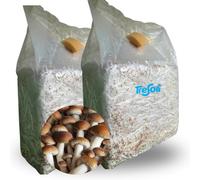 Tresorì - 2 Panetti Funghi Pioppini, Varietà Agrocybe Aegerita, Balletta di Funghi con Micelio di Prima Scelta, Funghi Chiodini, Set Coltivazione - MADE IN ITALY