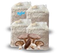 Tresorì - 4 Panetti Funghi Cardoncelli, Pleurotus Eryngii, Balletta di Funghi con Micelio di Prima Scelta, Fungo della Murgia, Set Coltivazione - MADE IN ITALY