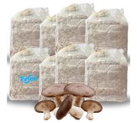 Tresorì - 8 Panetti Funghi Cardoncelli, Pleurotus Eryngii, Balletta di Funghi con Micelio di Prima Scelta, Fungo della Murgia, Set Coltivazione - MADE IN ITALY