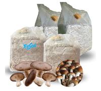 Tresorì - Set Coltivazione Funghi, 2 Cardoncelli + 2 Pioppini, Micelio di Prima Qualità, Panetti di Funghi da Coltivare in Casa, Varietà Pleurotus Eryngii, Agrocybe Aegerita (12 kg) - MADE IN ITALY