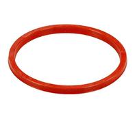 Trespade ricambio originale per insaccatrice, guarnizione da kg 7/10 KG