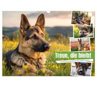 Treue, die bleibt. Emotionale Augenblicke mit Schäferhunden. (Wandkalender 2027
