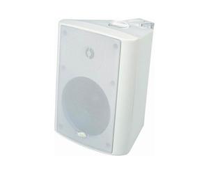 TREVI Casse Diffusori Audio 2 vie montabili a Parete 100W Bianco 0941001 HTS9410