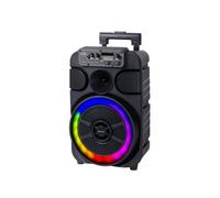 Trevi - XFest Altoparlante Trolley Amplificato 40W XF 460 IT NO SIZE