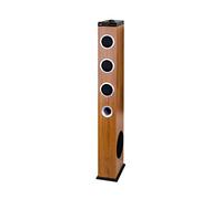 Trevi XT 10A8 BT, Altoparlante Bluetooth Amplificato Potente con Telecomando, Potenza 60W, USB charge, Ingressi AUX-IN, MP3, con Piedistallo Superiore per Appoggio Tablet, Smartphone, Legno