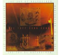 Trey Gunn Band - The Joy of Molybdenum
