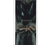 Trf - Try Or Cry