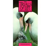 Trials of Life: Continuing the Line