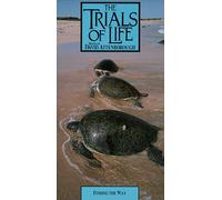Trials of Life: Finding the Way