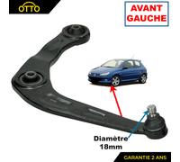 Braccio Sospensione Anteriore Sinistro + Giunto 18mm Pinze per 206 Sw Cc 3520G8