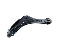 NTY Braccio oscillante, Sospensione ruota compatibile con RENAULT ZWD-RE-034