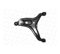 Triangolo Sospensione Moog Au-wp-0154