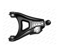 Triangolo Sospensione Moog Re-wp-0338