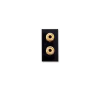 TRIAX - 304281 - Modulo Di Altoparlante Doppio Nero Per Pannello A Muro