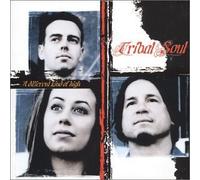 Tribal Soul - A Different Kind Of High