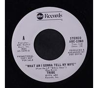 TRIBE - what am i gonna tell my wife / mono
