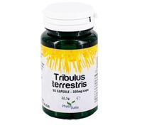 TRIBULUS TERRESTRIS 30CPS
