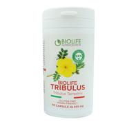 TRIBULUS TERRESTRIS 60CPR