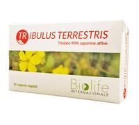 Tribulus Terrestris 60cps