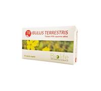 TRIBULUS TERRESTRIS 60CPS