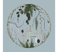 El Buho - Tributaries Vol.2