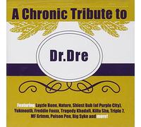 Tribute To Dr. Dre - Chronic Tribute To Dr. Dre