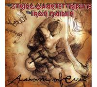 Tribute To Iron Maiden - String Quart Tribute To Iron Maiden