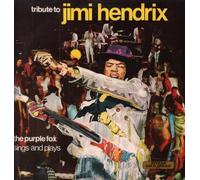 Tribute To Jimi Hendrix