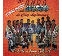 Tributo a Juan Gabriel