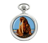 Tricheco Orologio da Tasca