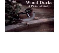 Tricia Veasey Wood Ducks (Tascabile)