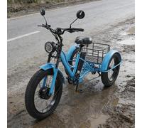 Triciclo Elettrico A 3 Ruote Con 7 Velocità E Passo-passo Per Donne E Uomini, Triciclo Elettrico Per Anziani Da 24'', Bicicletta Elettrica Da Spiaggia Per Ciclismo All'aperto Con Cestino(Blue)
