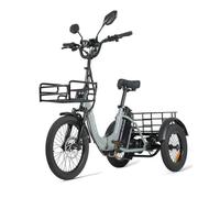 Triciclo Elettrico AG1 Pro Cysum 750 W 48 V 20 Ah