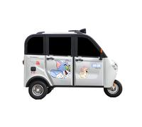 Triciclo elettrico certificato CEE da 45 km/h con portata di 80 km e ricarica rapida 8 ore per la consegna in carico