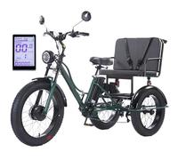 Triciclo Elettrico con Sedile Passeggero per Adulti, Bicicletta Elettrica da 24 Pollici con Pneumatici Larghi, Batteria Rimovibile da 48 V/18 Ah + Display LCD, per Città E Strade di Montagna,Green