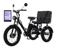 Triciclo Elettrico con Sedile Passeggero per Adulti, Bicicletta Elettrica da 24 Pollici con Pneumatici Larghi, Batteria Rimovibile da 48 V/18 Ah + Display LCD, per Città E Strade di Montagna,Black