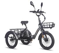 Triciclo elettrico da carico Fafrees F20 Mate con batteria da 48 V 21