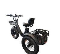 Triciclo elettrico da carico PULUMA SL001, doppia batteria 48V 27Ah, 7