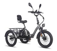 Triciclo elettrico FAFREES F20 Mate con specchietto e cestino posterio